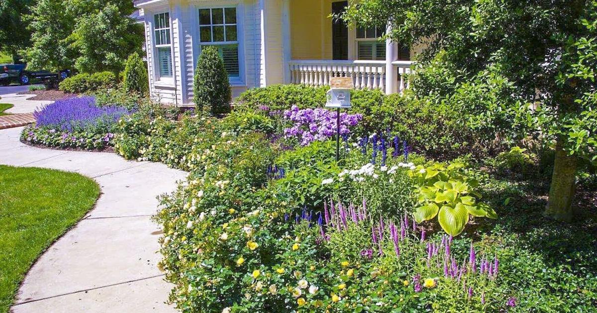 Luxury Landscapes Garden Tour coming up
