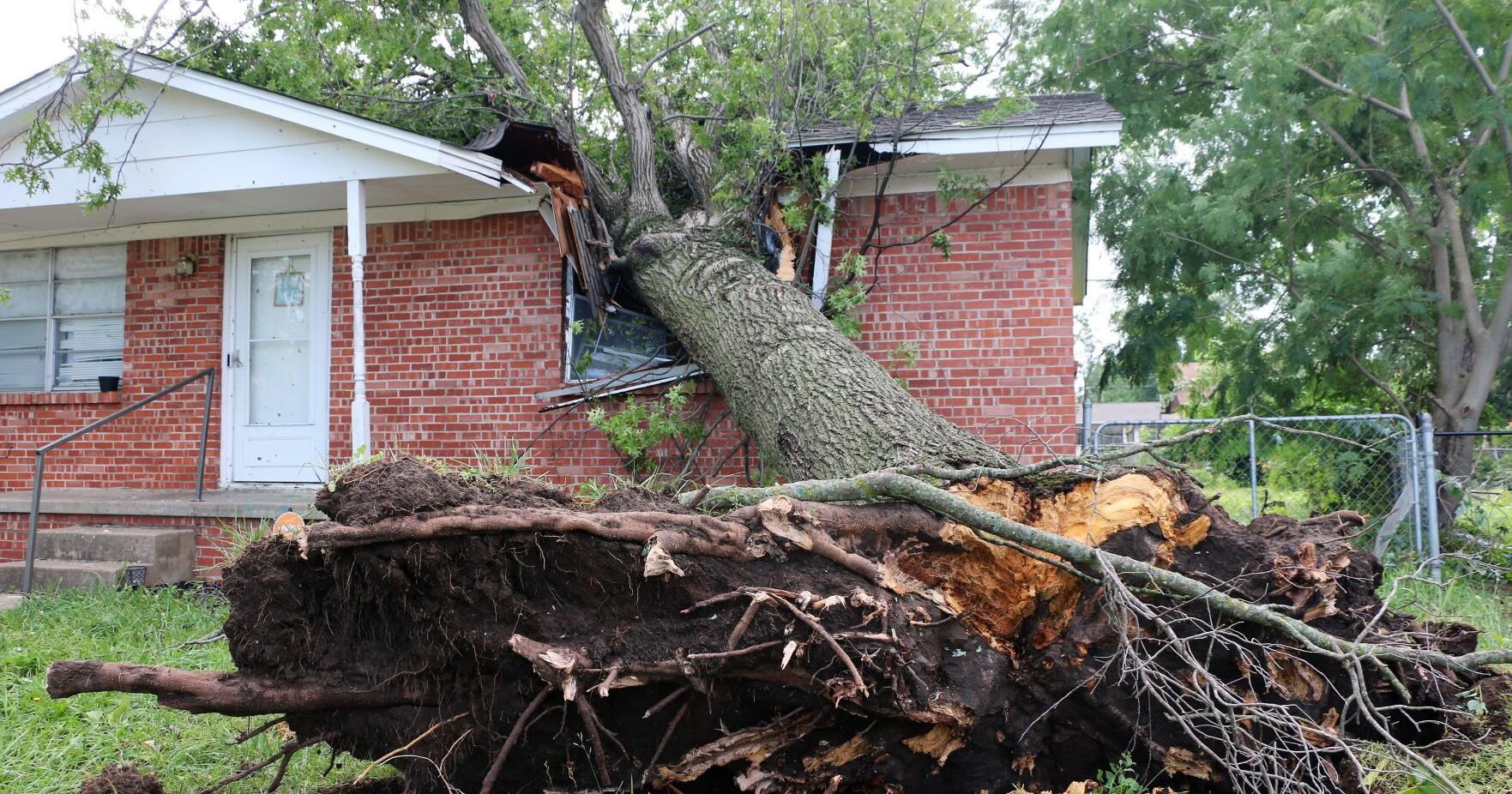 Sand Springs firefighters rescue family, motorists trapped by falling trees - Vimarsana News