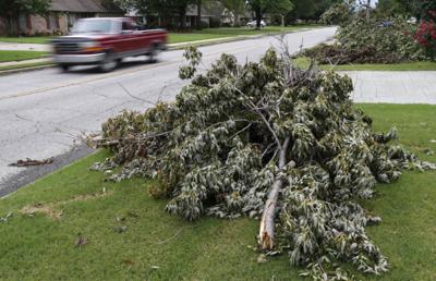 Curbside Limb Pickup Information For Tulsa Broken Arrow Jenks Sapulpa And Sand Springs Archive Tulsaworld Com