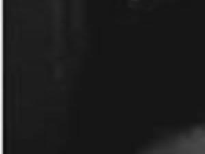 Fashion Designer Liz Claiborne Dies At Age 78 Archive Tulsaworld Com