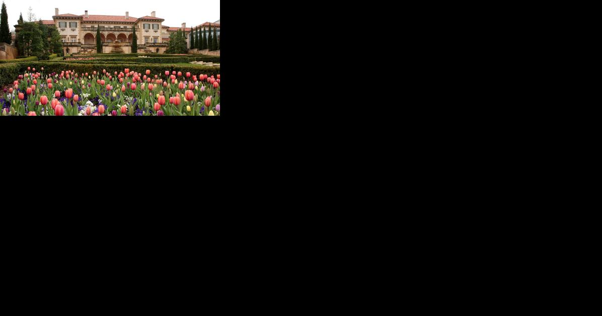 Throwback Tulsa: Waite Phillips donates Philbrook as art center in 1938 - Vimarsana News