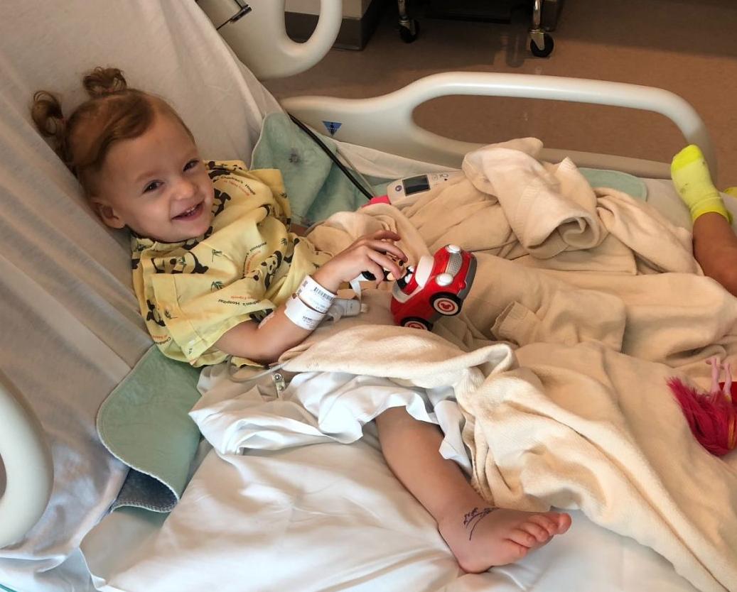 Area Family Spends Holiday Hunting Snakes After Toddler Bitten By Copperhead State And Regional News Tulsaworld Com Area Family Spends Holiday Hunting Snakes After Toddler Bitten By Copperhead State And Regional News Tulsaworld Com