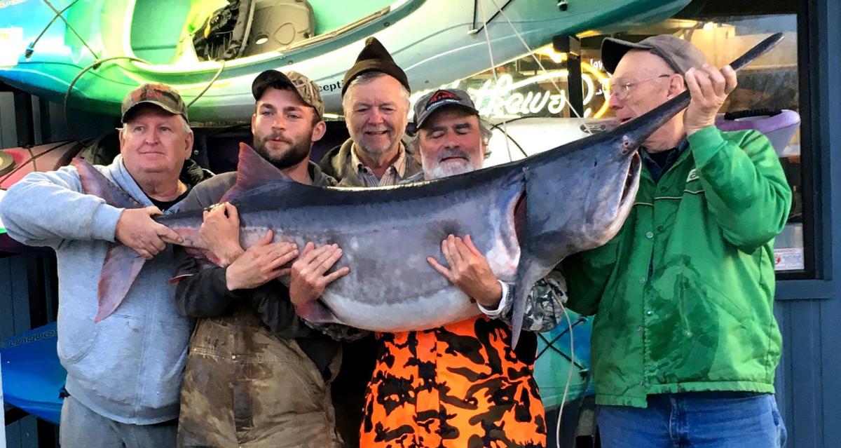 121 Pound Paddlefish Will Topple Grand Lake Record Sports