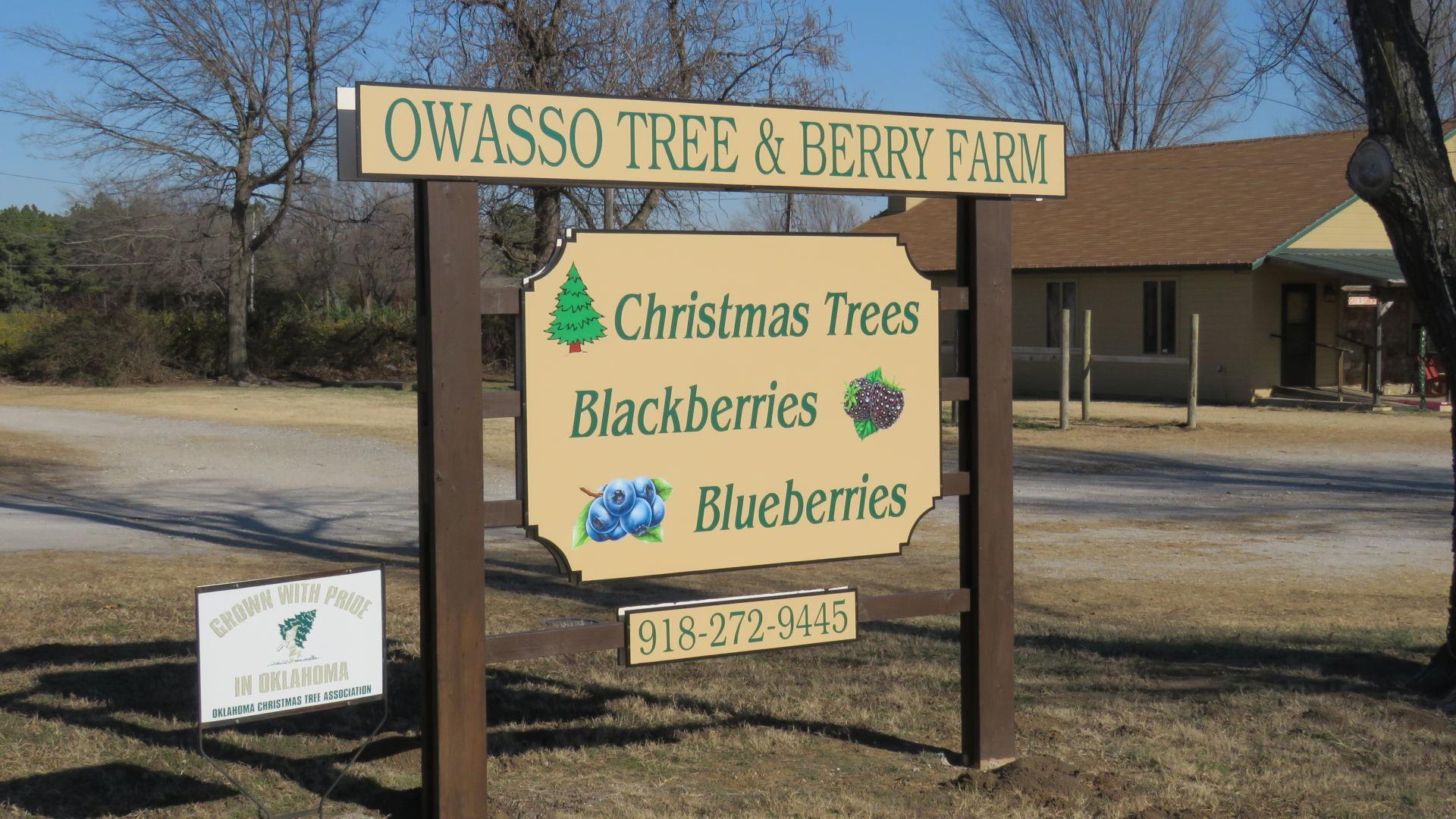 Owasso Christmas Tree Farm Recycling Leftover Trees To Improve Local Fish Habitats News Tulsaworld Com