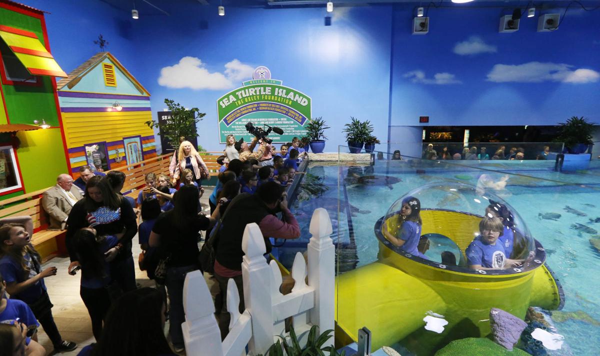 Oklahoma Aquarium unveils its highly anticipated Sea Turtle Island