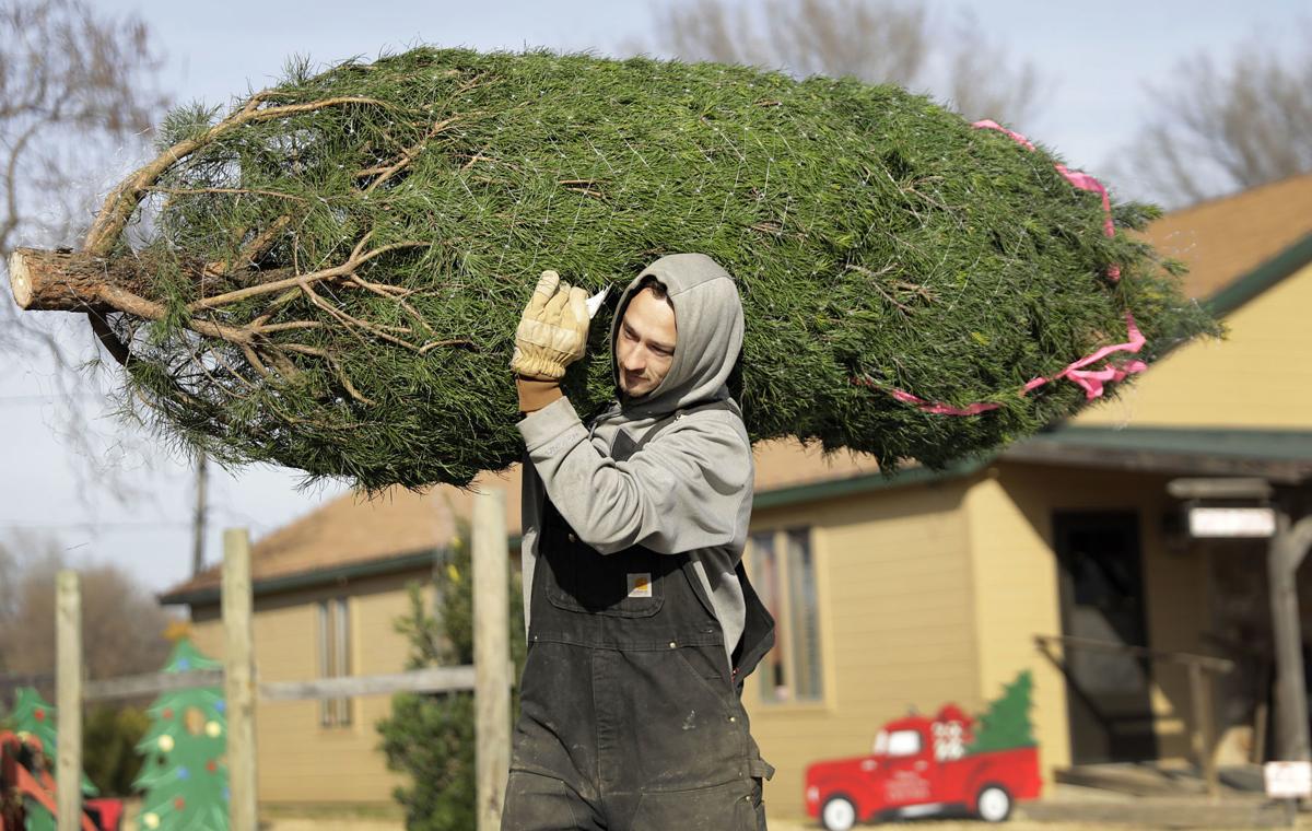 Owasso Christmas Tree and Berry Farm recognized for excellence in agritourism