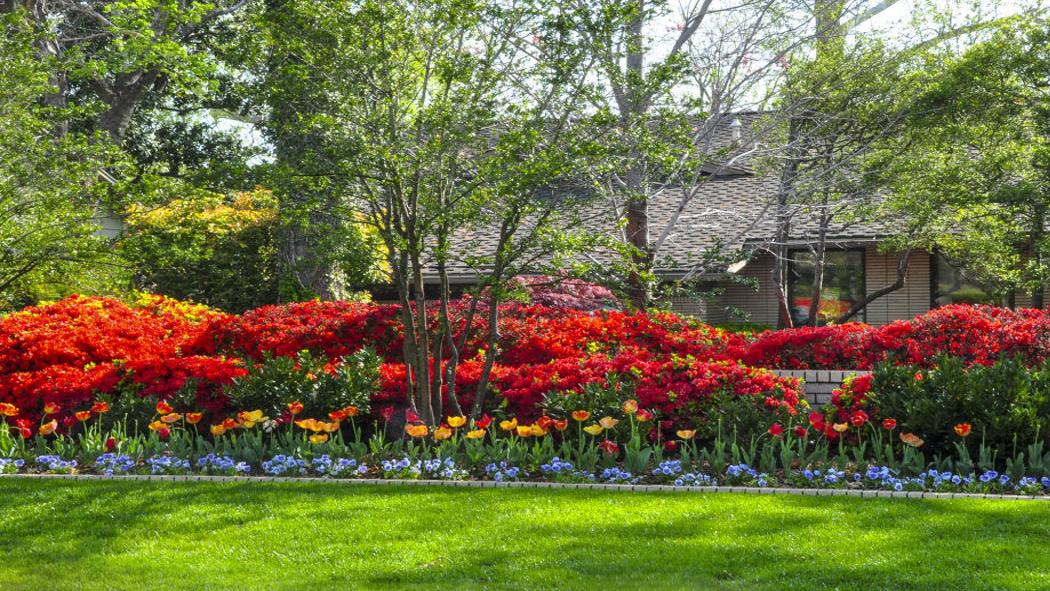 Master Gardener Don T Prune For The Sake Of Pruning Home Garden Tulsaworld Com