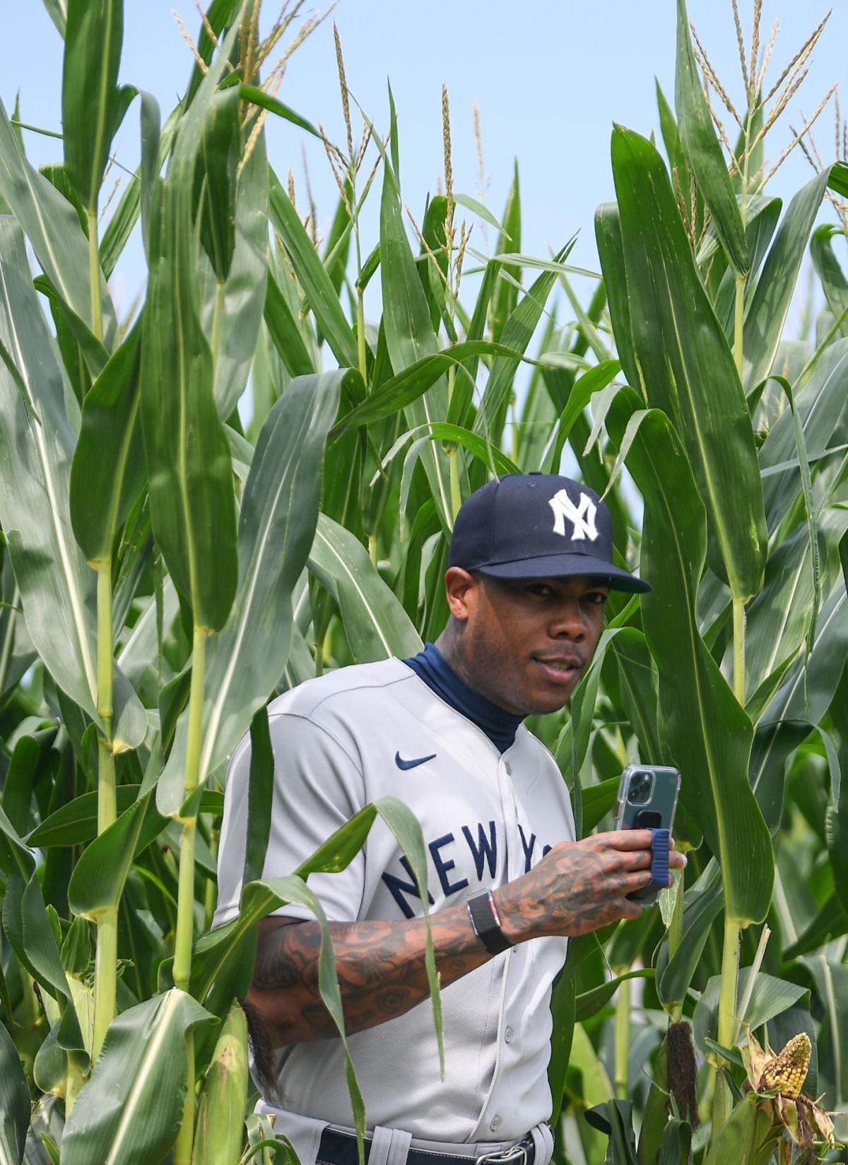 Hall of Famer Frank Thomas has bought controlling interest in “Field of  Dreams” site