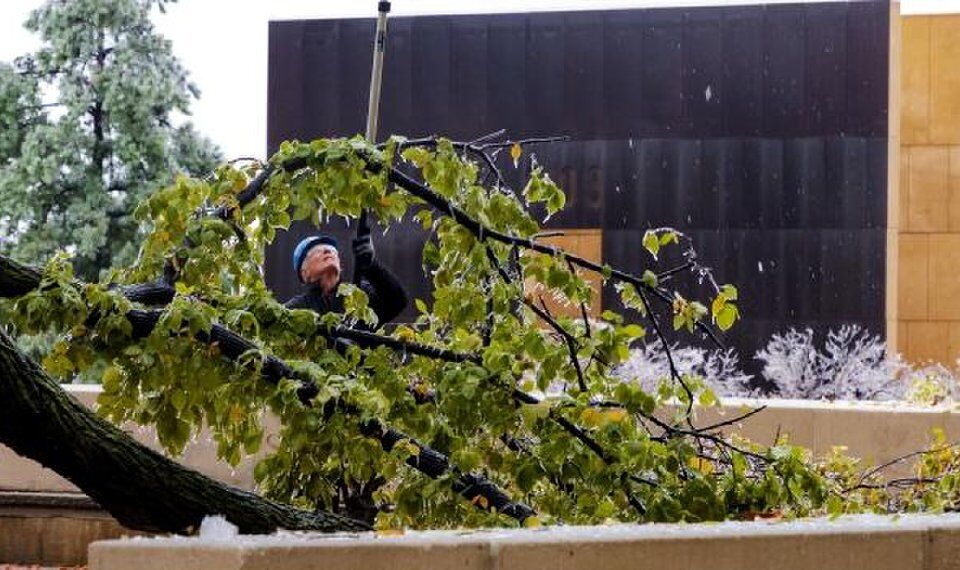 Survivor Tree at the Oklahoma City National Memorial damaged in ice storm