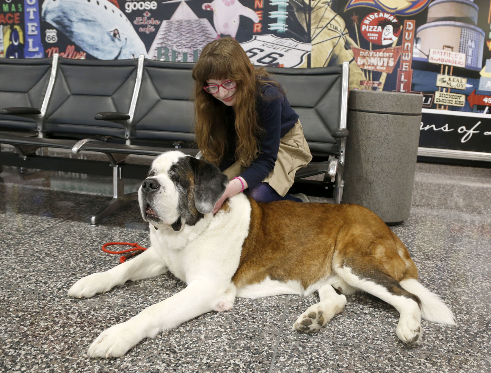 pet therapy international