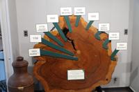 Beavers Bend State Park