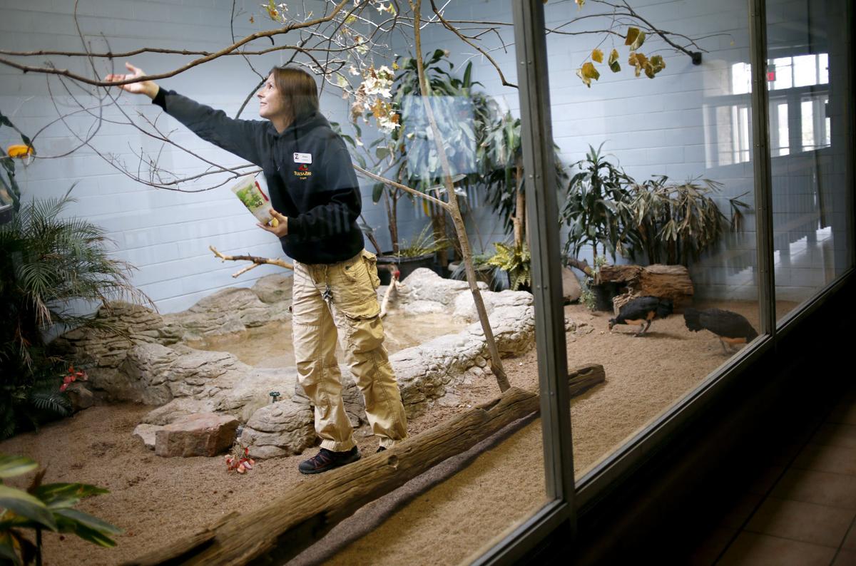 Workforce Zookeeper finds job is for the birds Business News