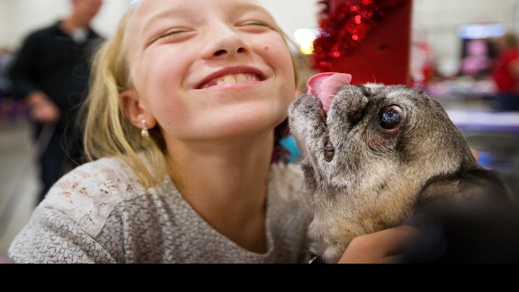 Pet Calendar Time For Puppy Bowl Paw Ty Pugs And Kisses Events Plus A Service Dog Seminar Lifestyles Tulsaworld Com