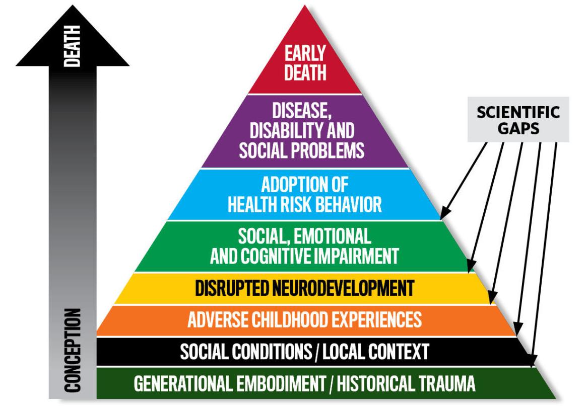 Understanding ACEs (copy)