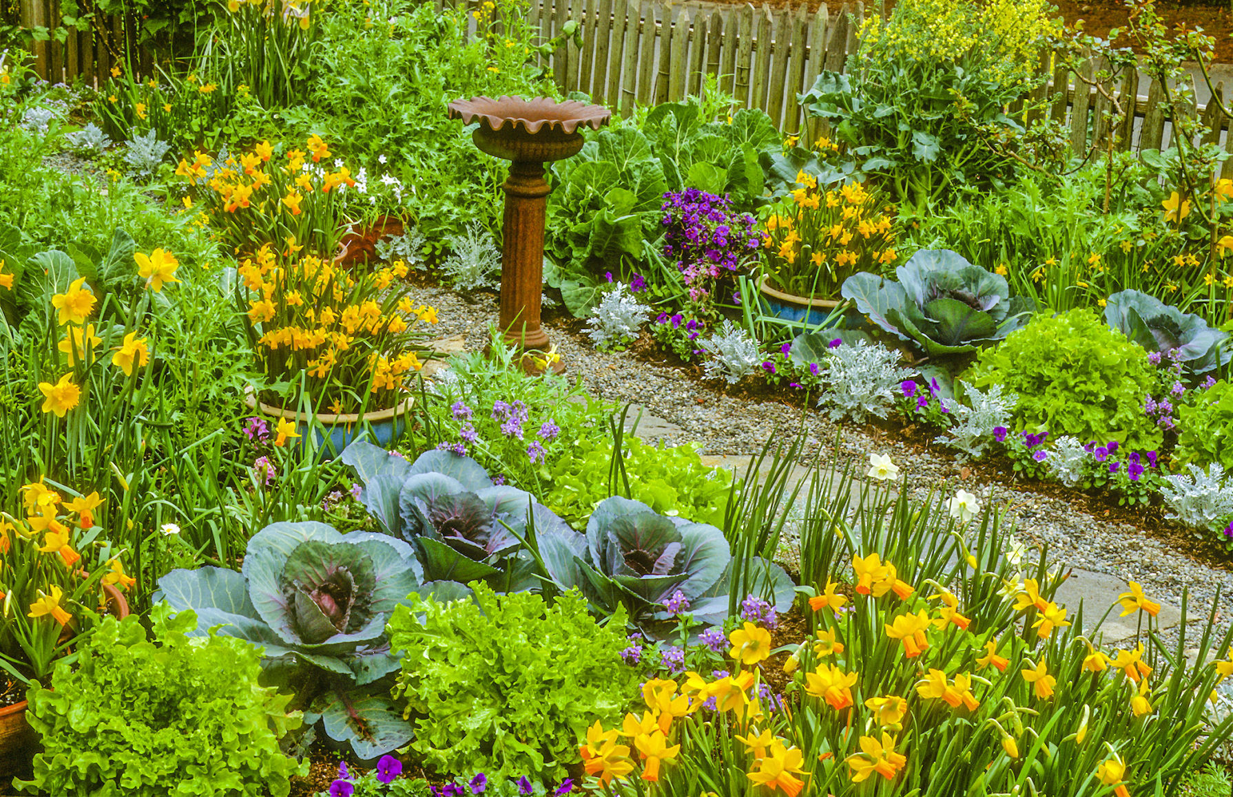 Master Gardener: Add Vegetables To Your Flower Beds For Edible ...