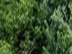 2021 Jeep Grand Cherokee L First Drive Review An American Original Goes Long Lifestyles Tulsaworld Com