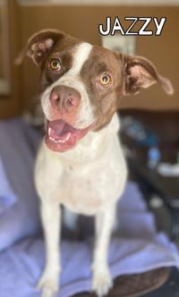 Jazzy