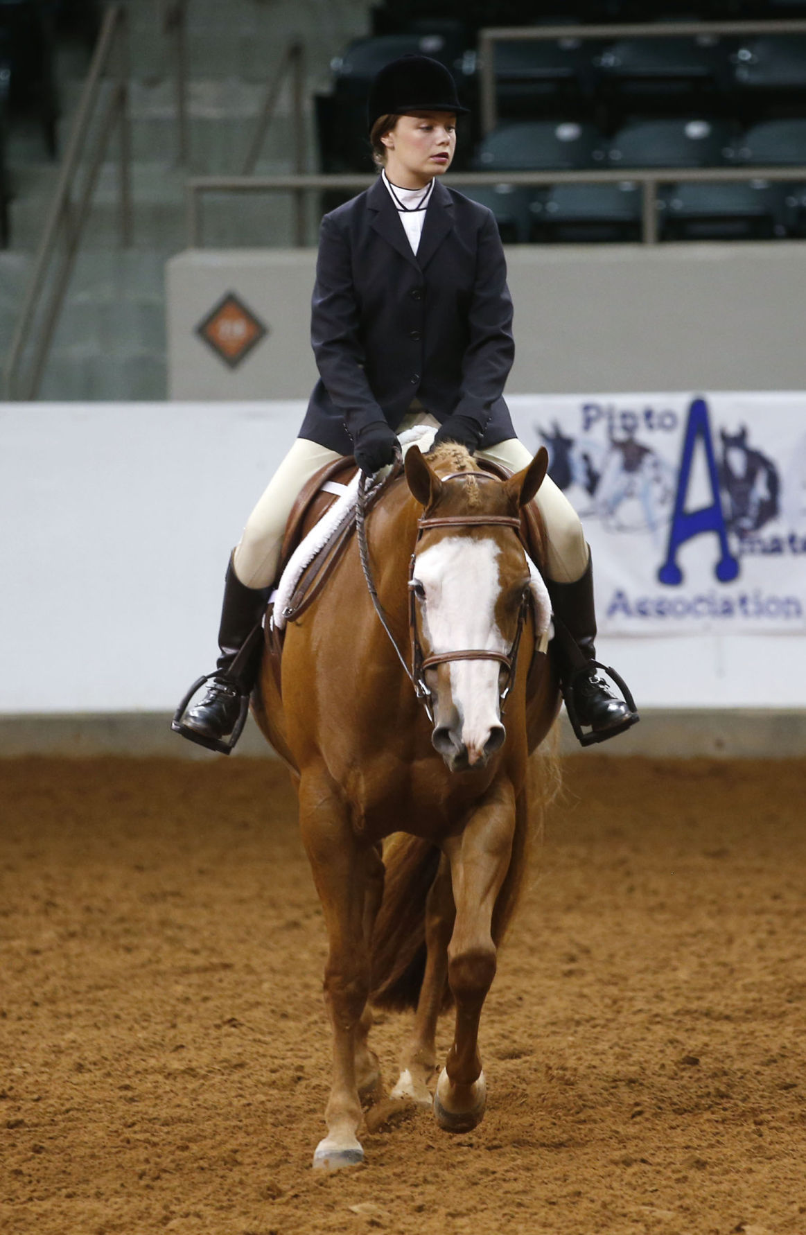 Photo Gallery 2016 Pinto World Championship horse riding show at Expo Square News