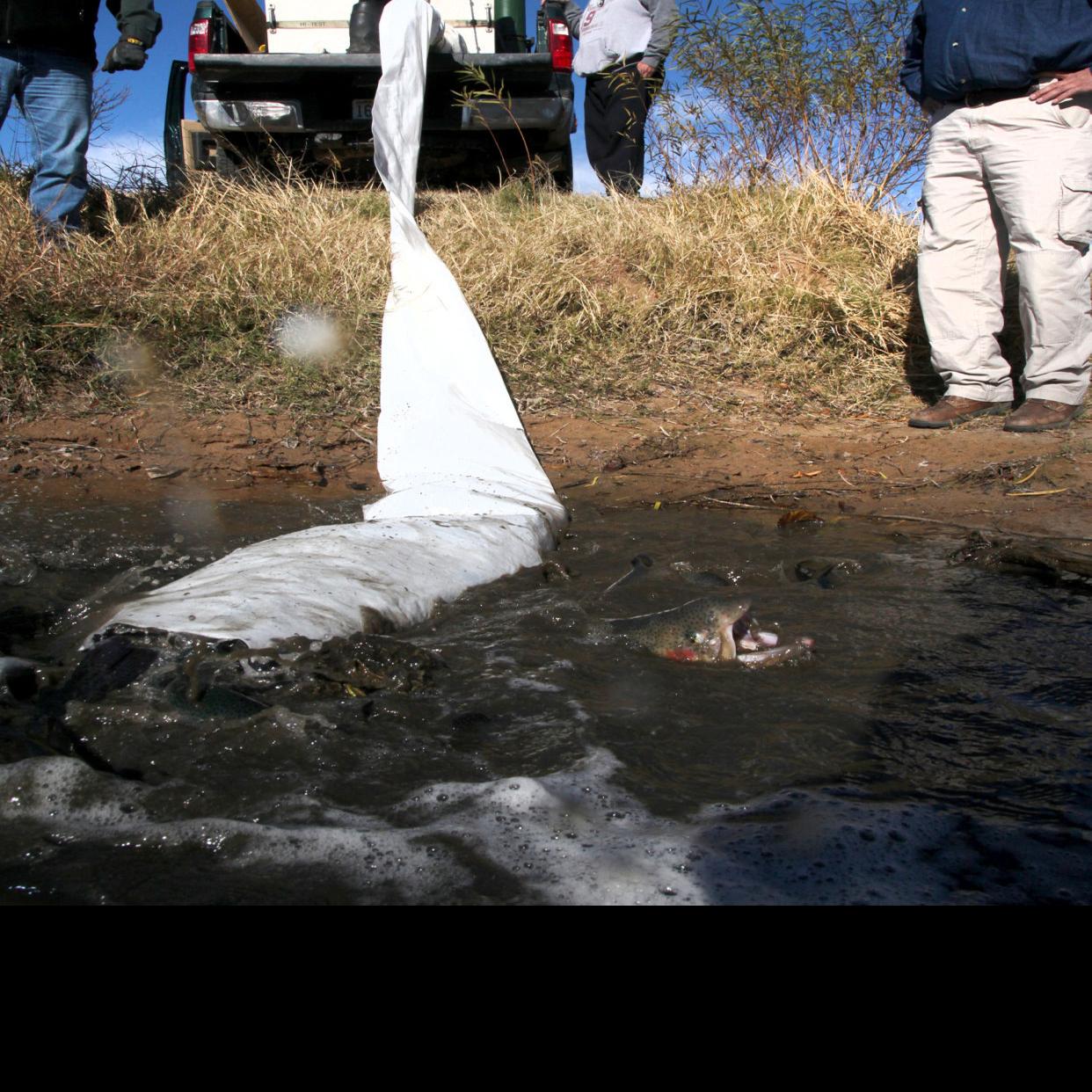 The Outdoors Trout Stocked And Biting At Veterans Park Pond Sports News Tulsaworld Com Neil left his wife after 36 years i think, and as a result gave her broken arrow ranch. veterans park pond