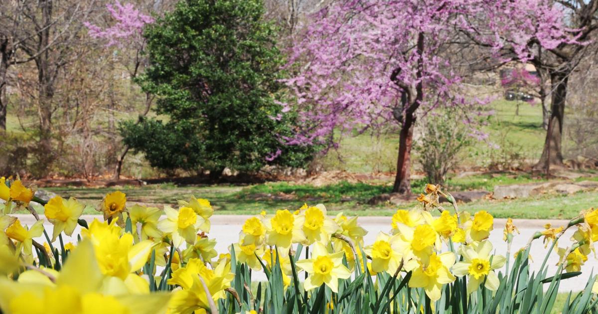 Springtime Tulsa Event Signs of spring arrive early this year in parts of Oklahoma