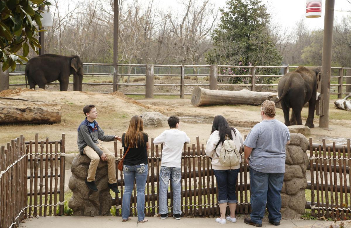 Tulsa Zoo hopes to alleviate long lines with Vision project funds