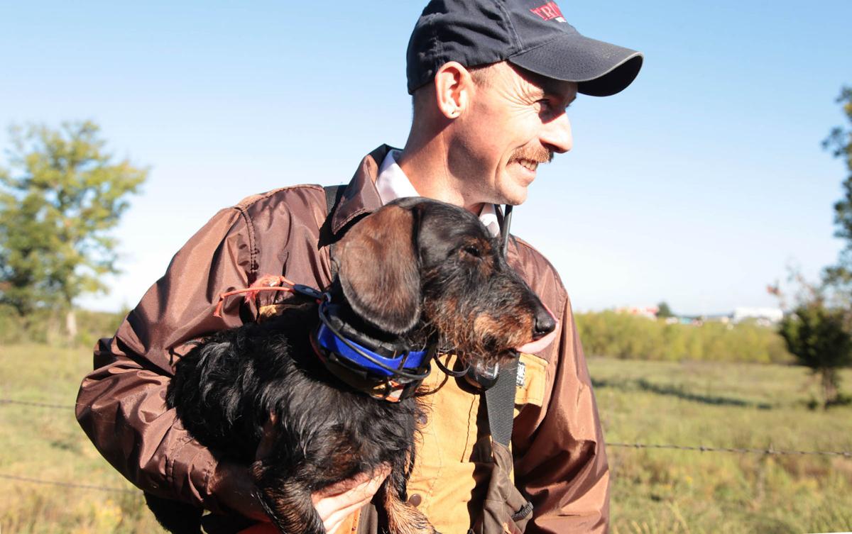Getting on track Lessons are many for tracking wounded deer with dogs