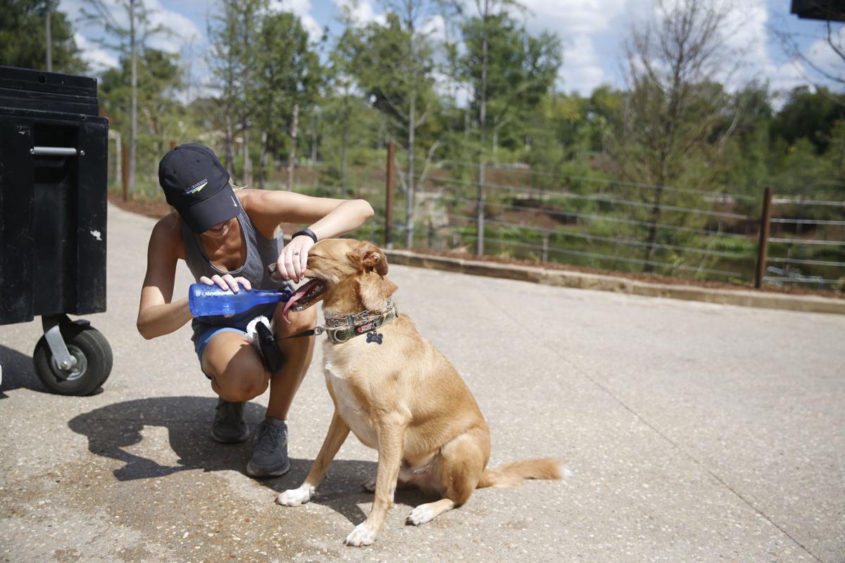 Gathering Place to start enforcing pet policy this weekend; no dogs