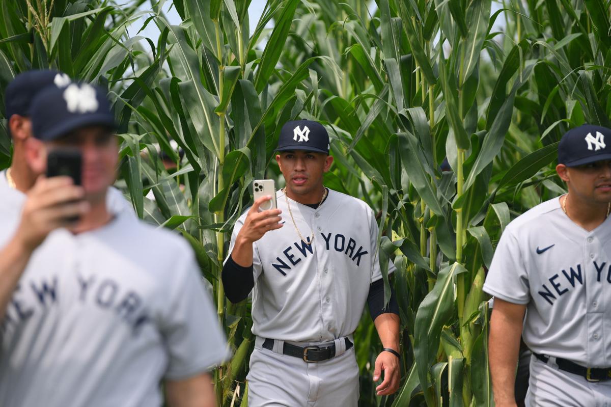 Hall of Famer Frank Thomas has bought controlling interest in “Field of  Dreams” site