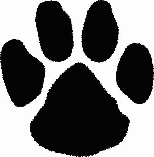 Coweta Tiger Cubs