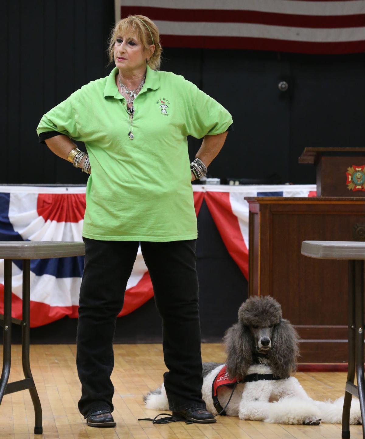 Wags Service Dogs Wags Service Dogs