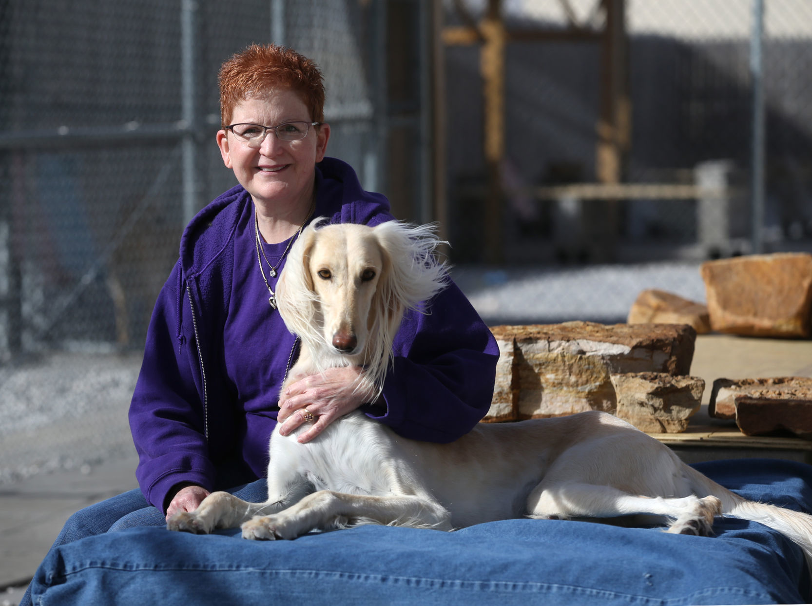 saluki for sale near me