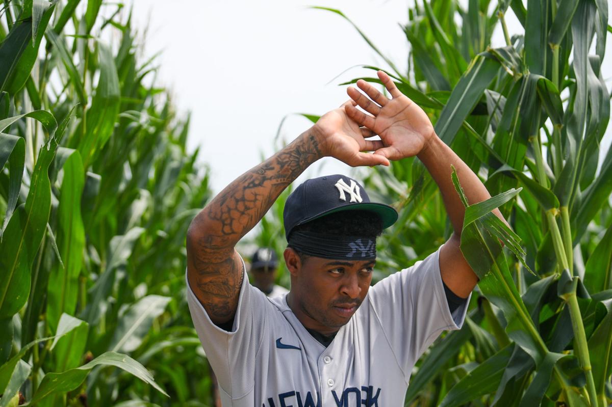 Hall of Famer Frank Thomas has bought controlling interest in “Field of  Dreams” site