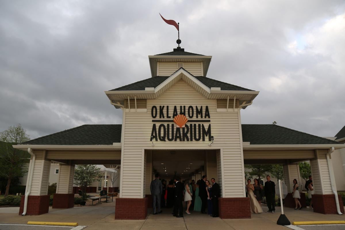 Teri Bowers sues Oklahoma Aquarium for wrongful termination