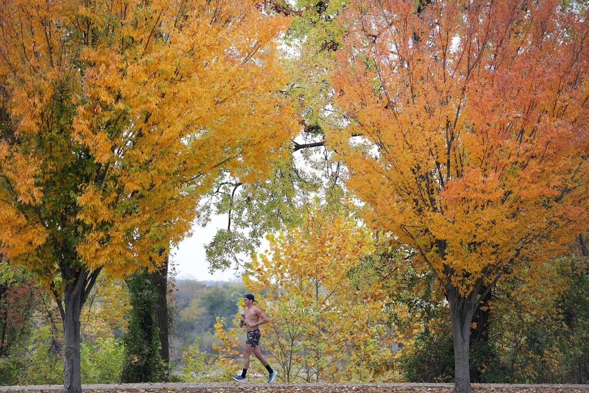 Fall foliage in Oklahoma in 2023