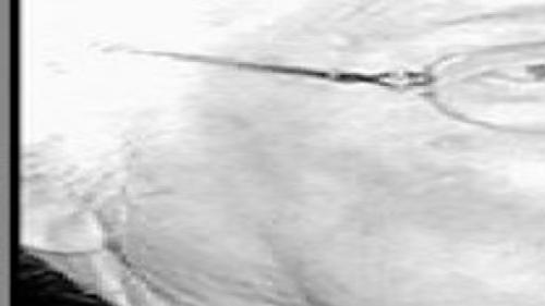 Bowman Archive Tulsaworld Com