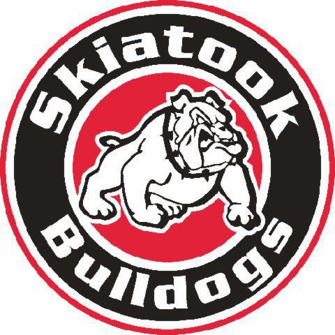 Image result for skiatook school logo