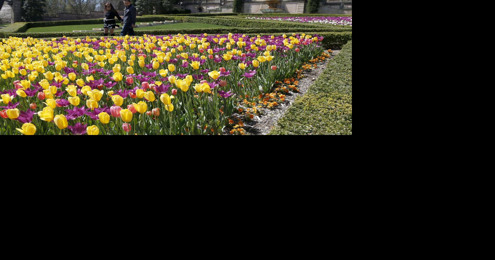 Home and garden workshops, garden events around Tulsa