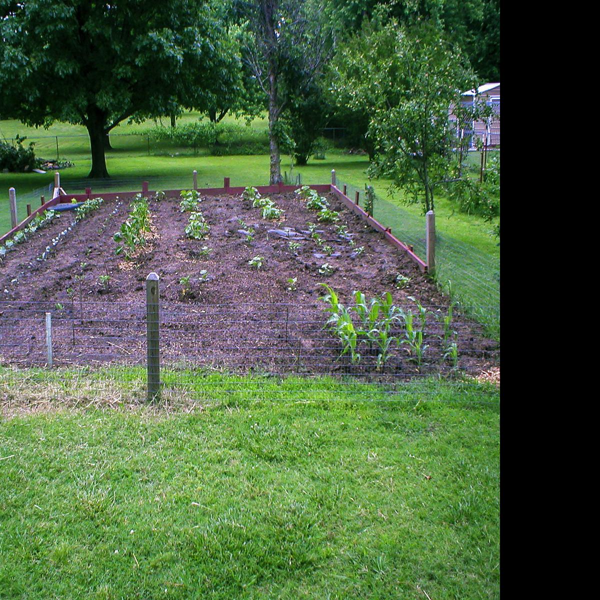 Master Gardener Key To Vegetable Gardening Is Planning Home Garden Tulsaworld Com