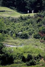 45. Play golf off a cliff