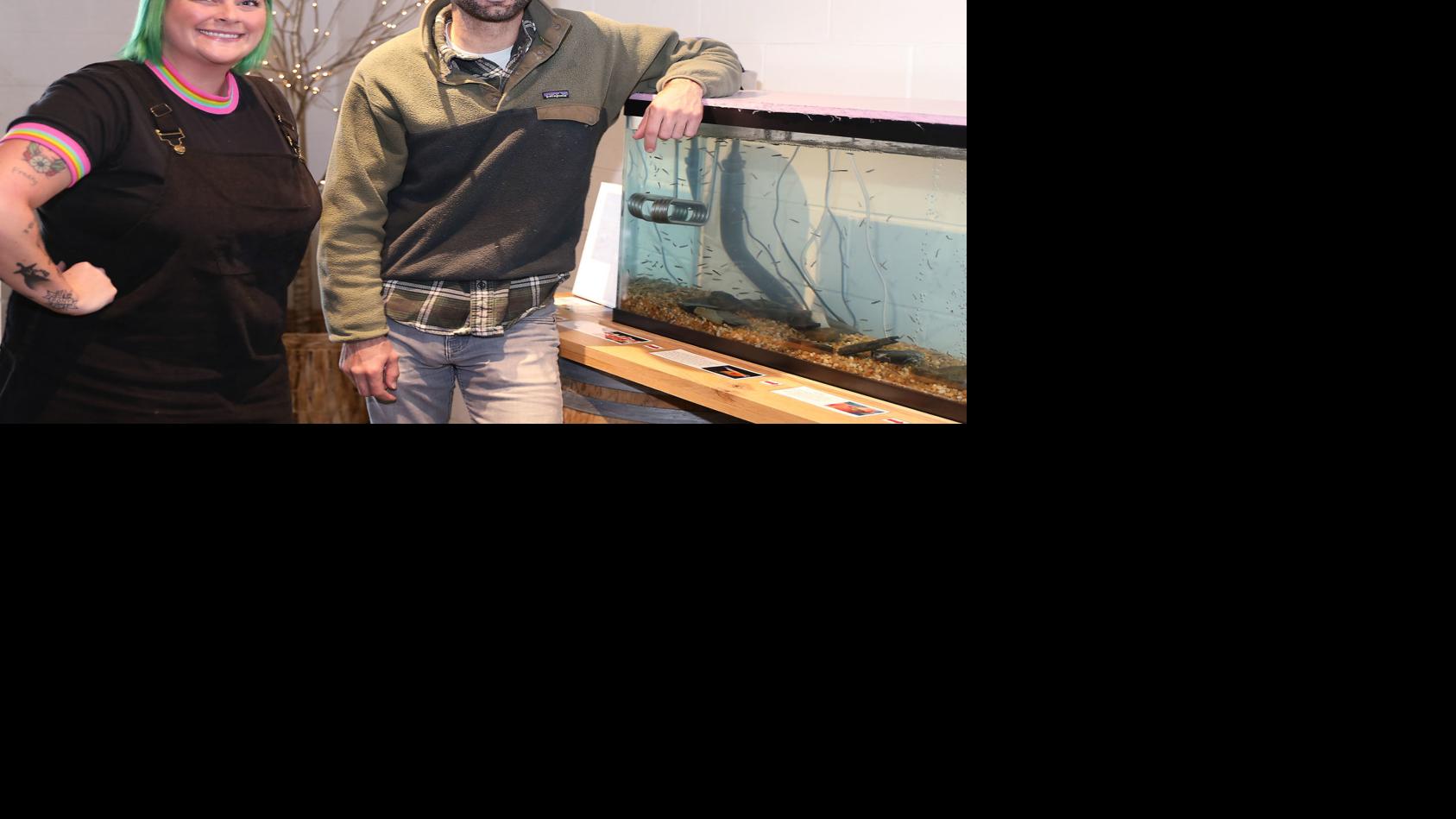 Trout in The Taproom: Heirloom Brewery first in nation to test the waters with aquarium display - Tulsa World