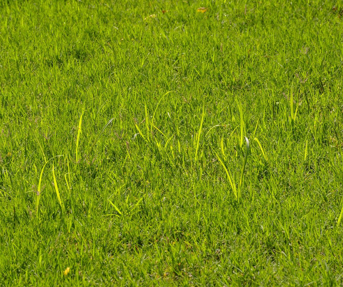 My Image 40