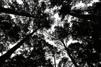 Beavers Bend State Park