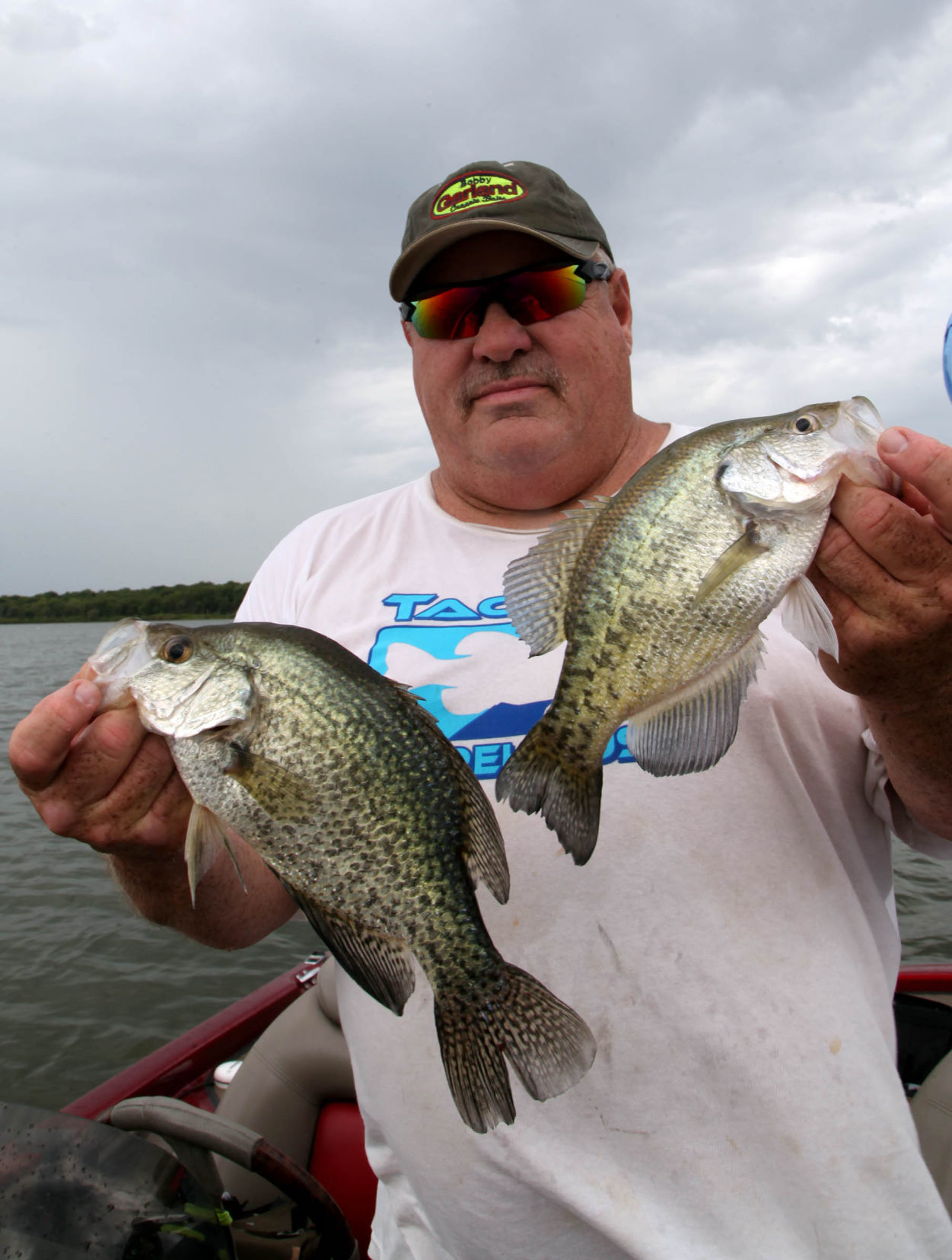 crappie fish