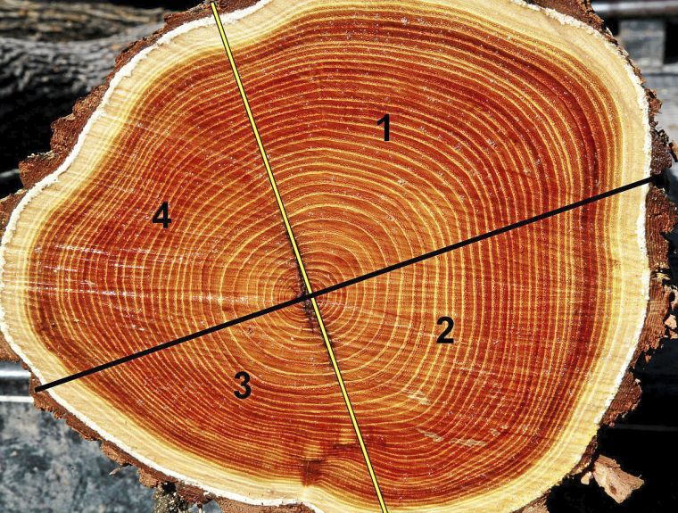 The Outdoors Bois d'arc diary entry one splitting personalities