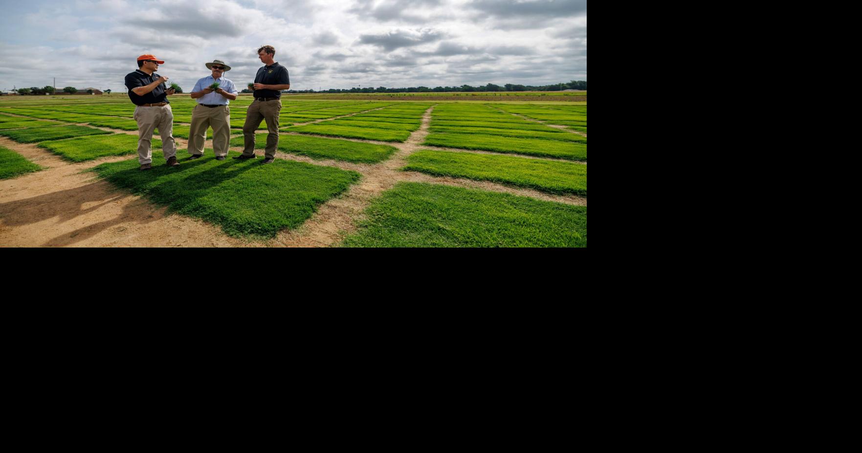 Oklahoma State University created turf World Cup final will be played on