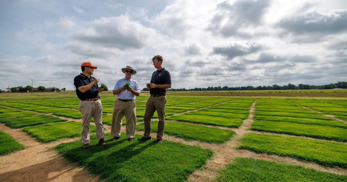 Oklahoma State University created turf World Cup final will be played on