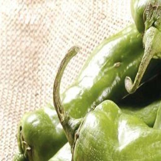 Chuys Green Chile Festival 2022
