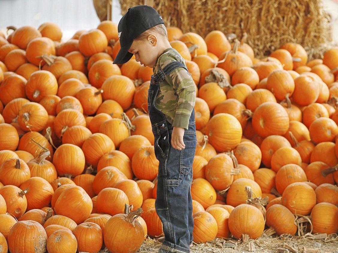 Halloween Events In Tulsa 2022