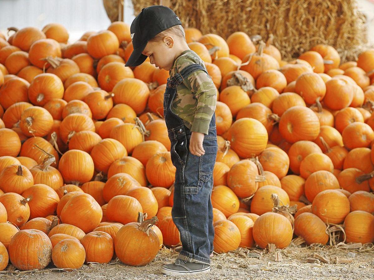 Tulsa S Best Fun And Family Friendly Halloween Events Lifestyles Tulsaworld Com Halloween Events In Tulsa 2022