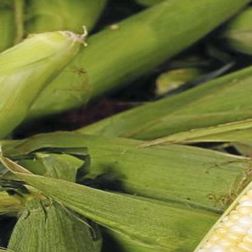 Bixby Corn Festival 2022